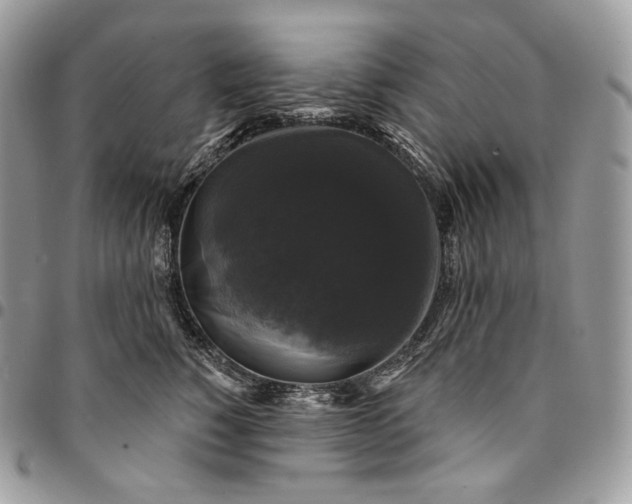 X0000095110760200712211321