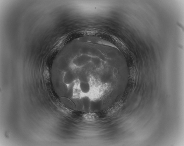 X0000095110761200712211321