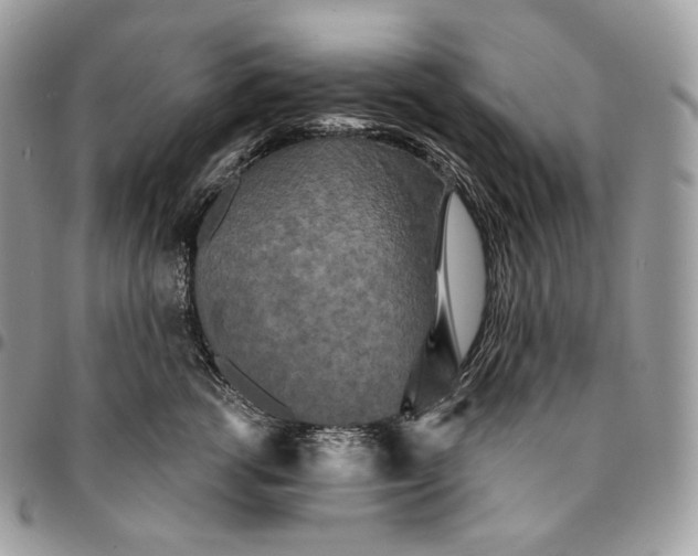 X0000095110762200712211321