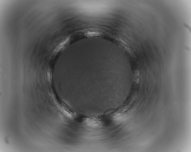 X0000095110763200712211321