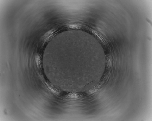 X0000095110764200712211321