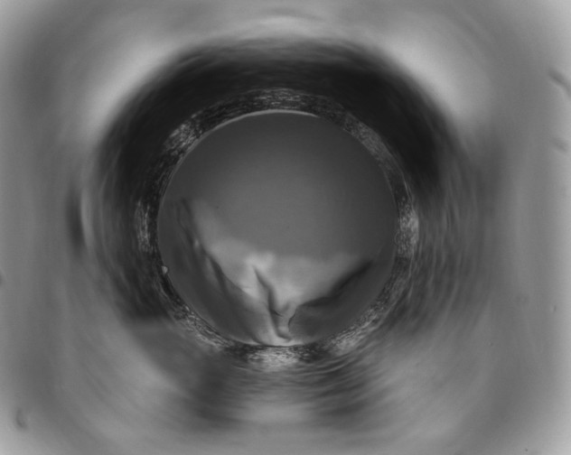 X0000095110765200712211321