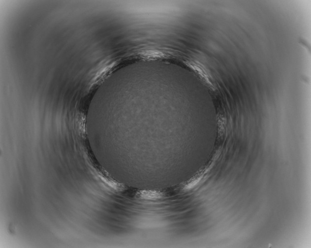 X0000095110766200712211321