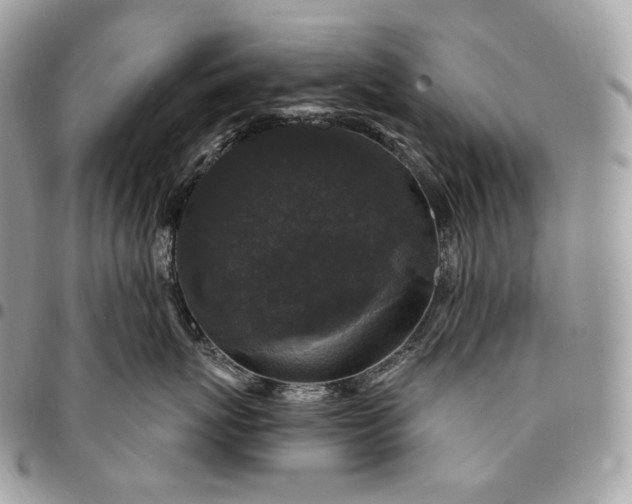 X0000095110767200712211321