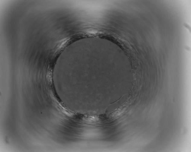 X0000095110768200712211321