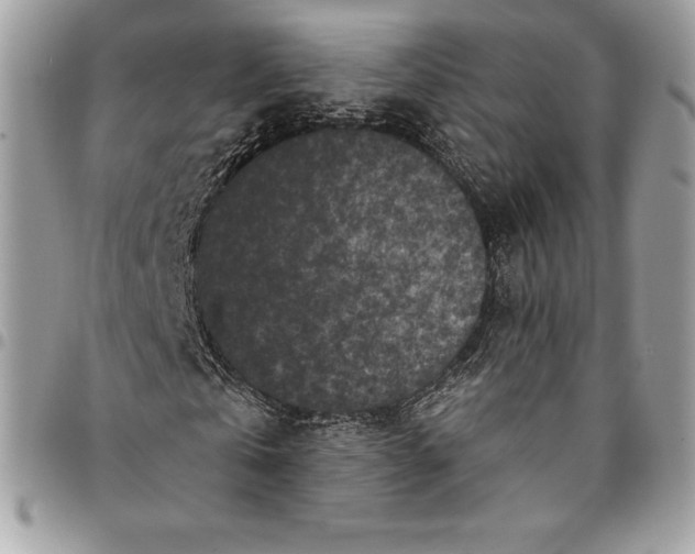 X0000095110769200712211320