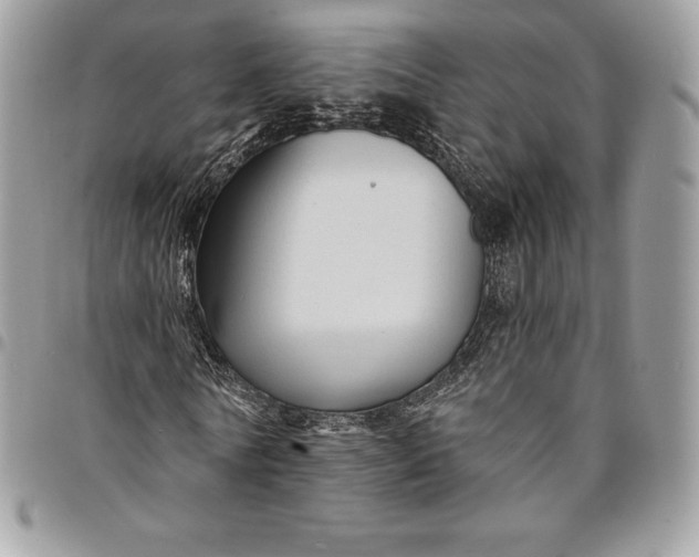 X0000095110770200712211320