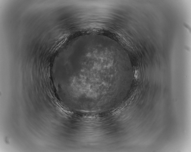 X0000095110771200712211320