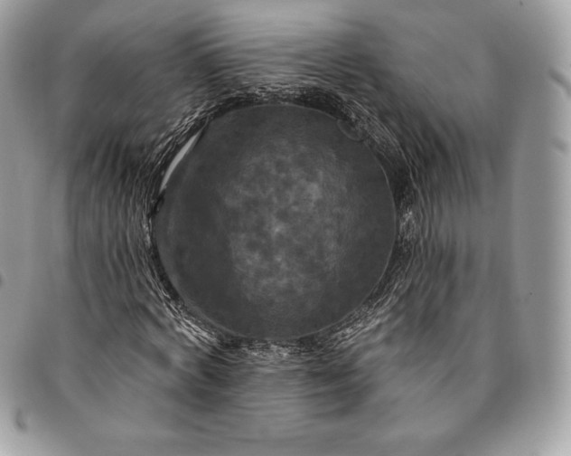 X0000095110772200712211320