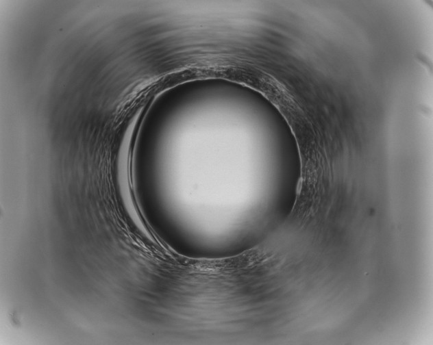 X0000095110773200712211320