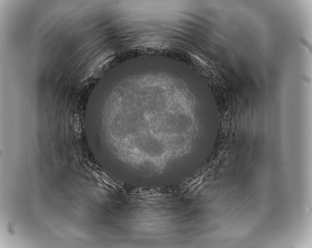 X0000095110774200712211320