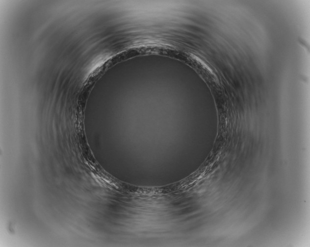 X0000095110775200712211320