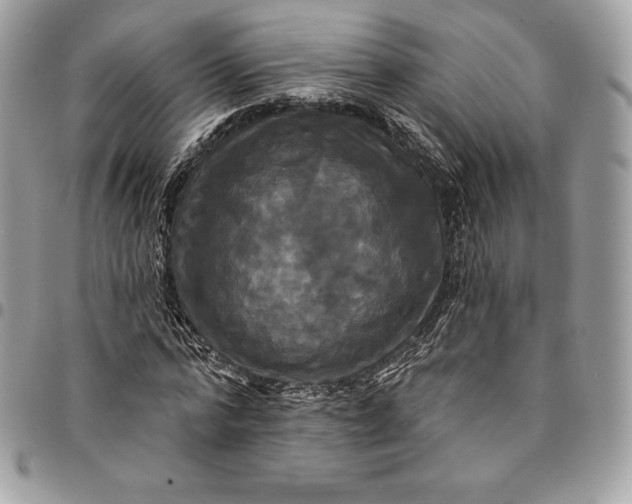 X0000095110776200712211320