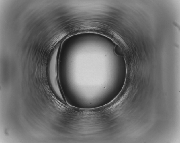 X0000095110777200712211320