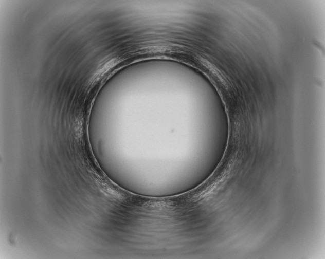 X0000095110778200712211320