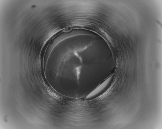 X0000095110779200712211320