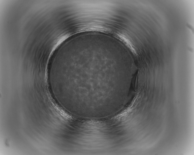 X0000095110780200712211320