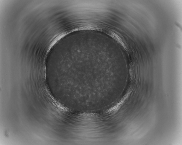 X0000095110781200712211320