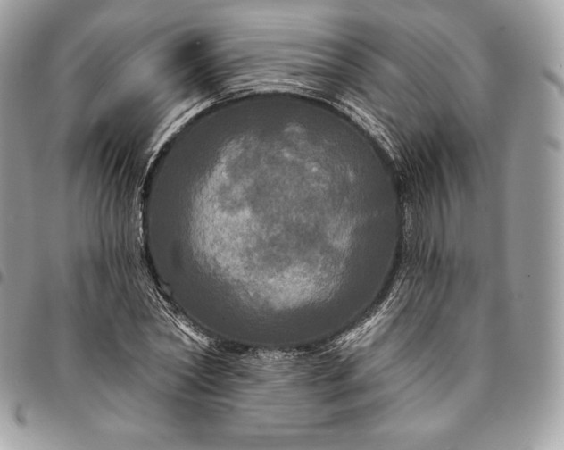 X0000095110782200712211320