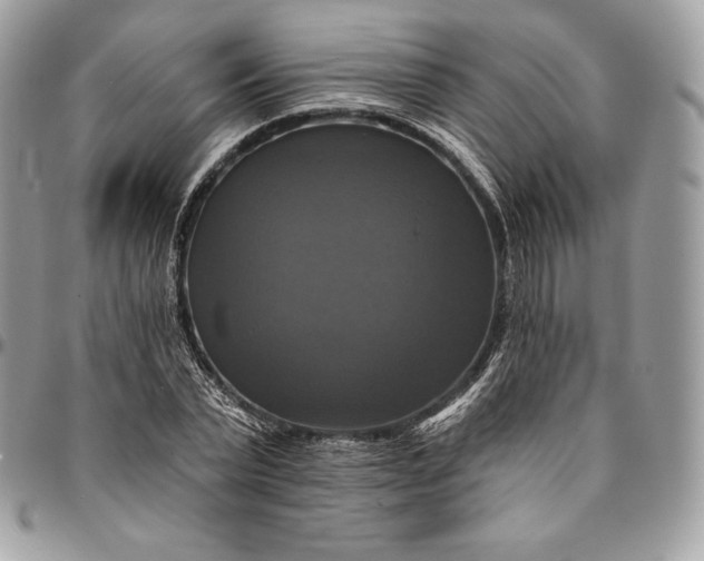 X0000095110783200712211320