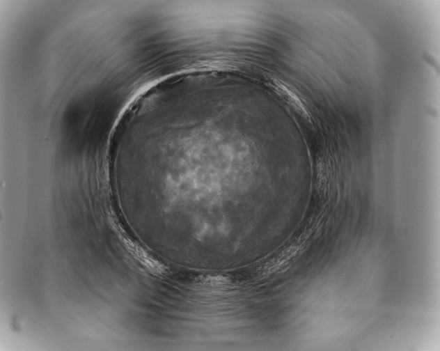 X0000095110784200712211320