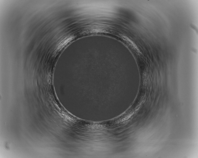 X0000095110785200712211320