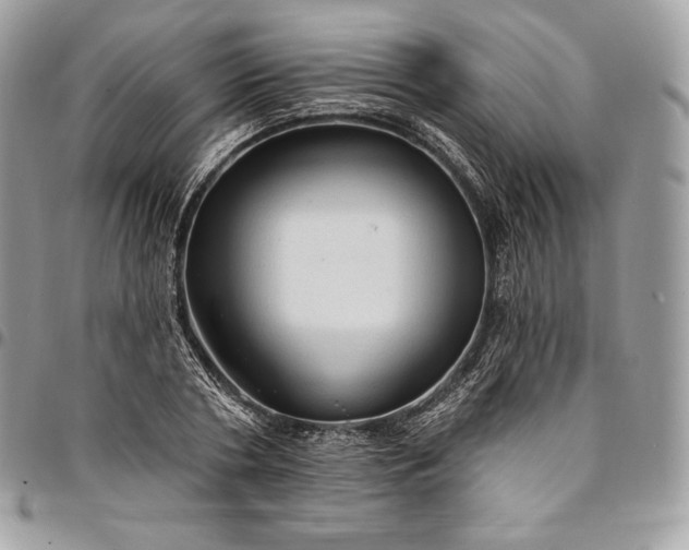 X0000095110786200712211320