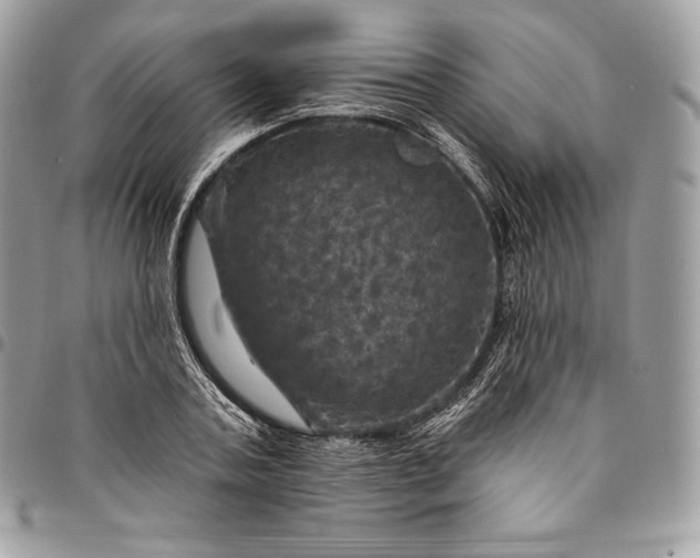 X0000095110787200712211320