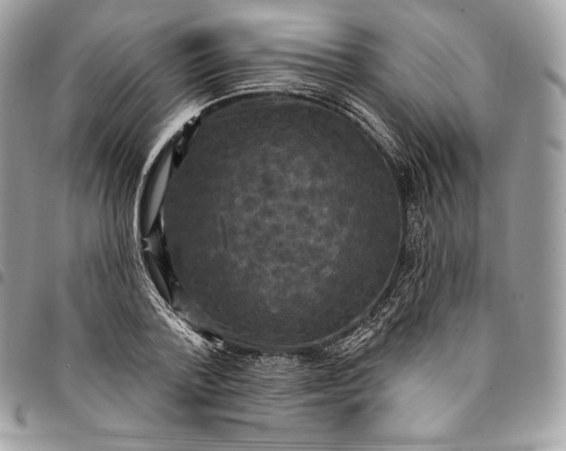 X0000095110788200712211320