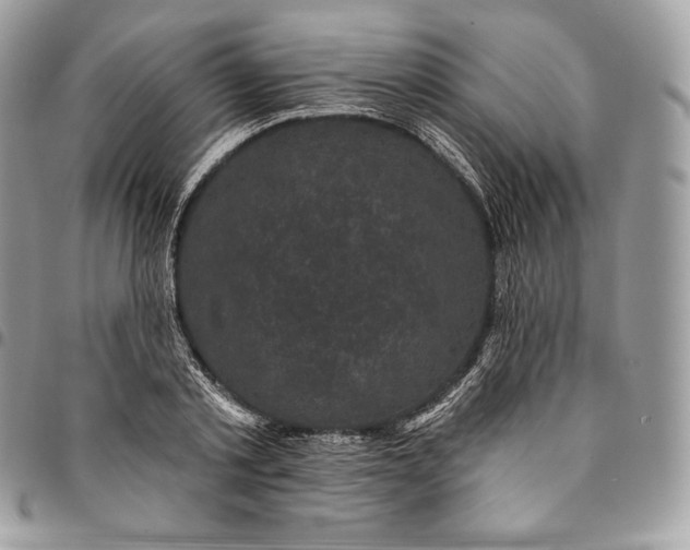 X0000095110789200712211320