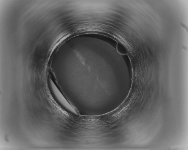 X0000095110790200712211320