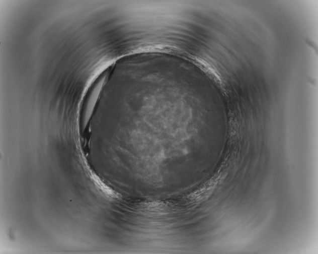 X0000095110792200712211320