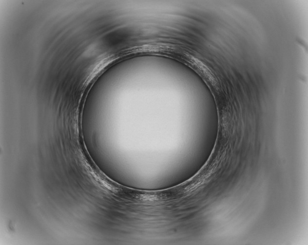 X0000095110794200712211320