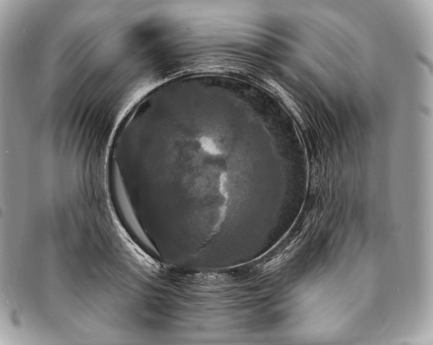 X0000095110795200712211320