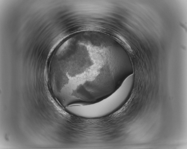 X0000095110796200712211320