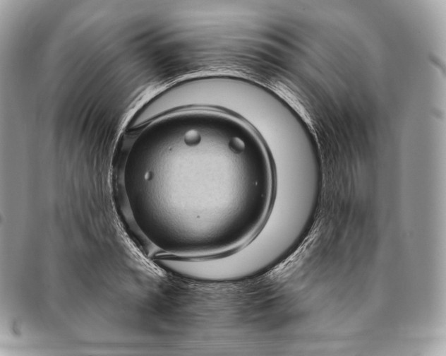 X0000095110797200712211320