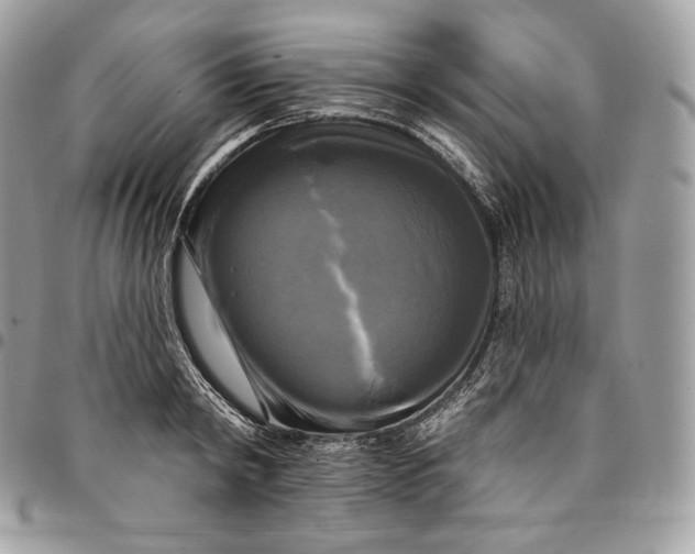 X0000095110798200712211320