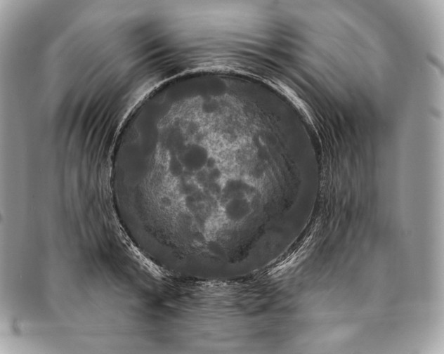 X0000095110799200712211320