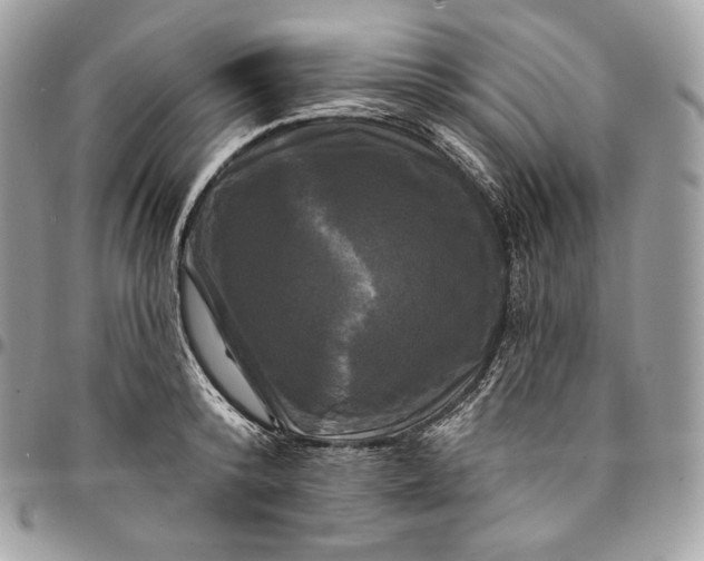 X0000095110800200712211320