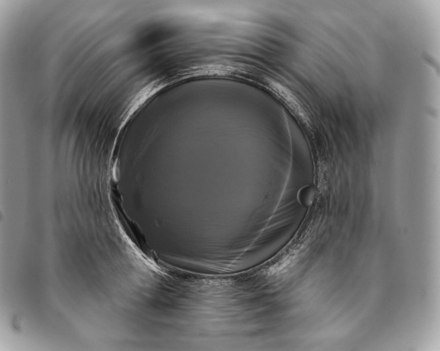 X0000095110802200712211320