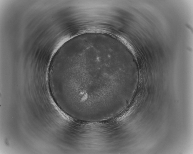 X0000095110803200712211320