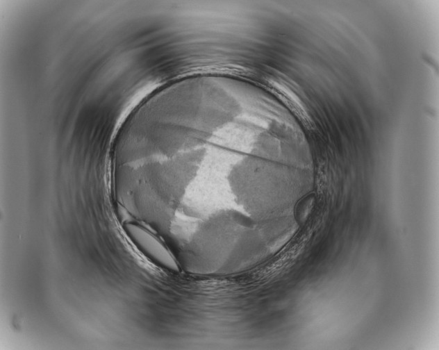 X0000095110804200712211320