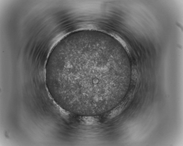 X0000095110807200712211320