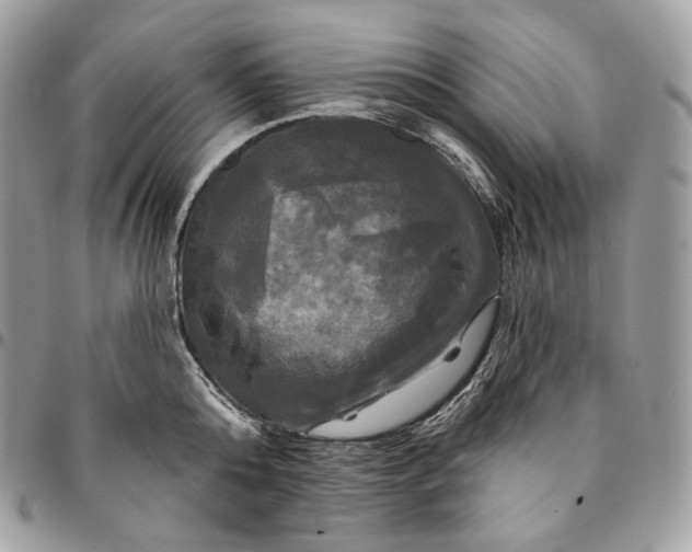 X0000095110808200712211320