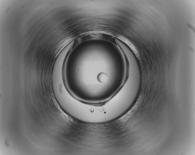 X0000095110809200712211319