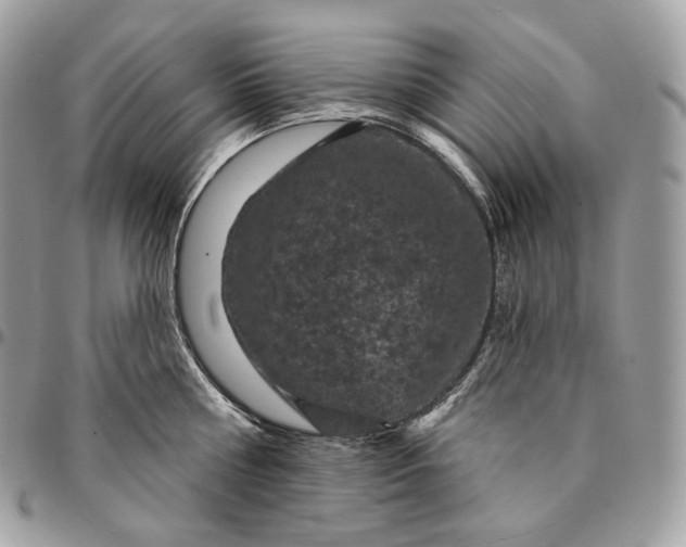 X0000095110810200712211319