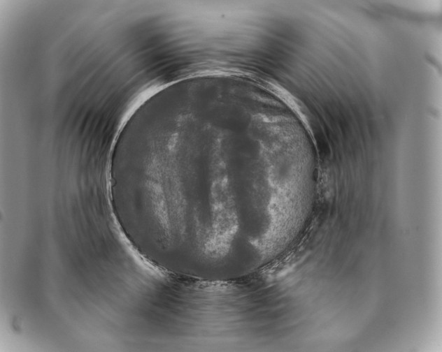 X0000095110811200712211319