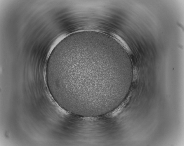 X0000095110812200712211319