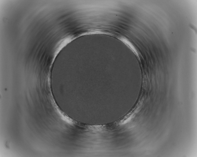 X0000095110813200712211319