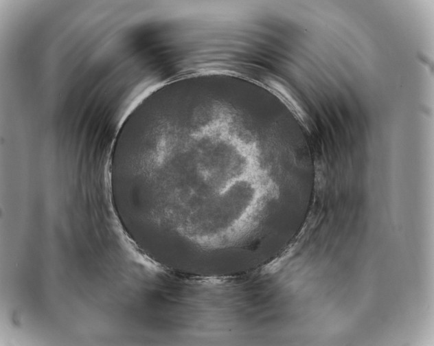 X0000095110814200712211319